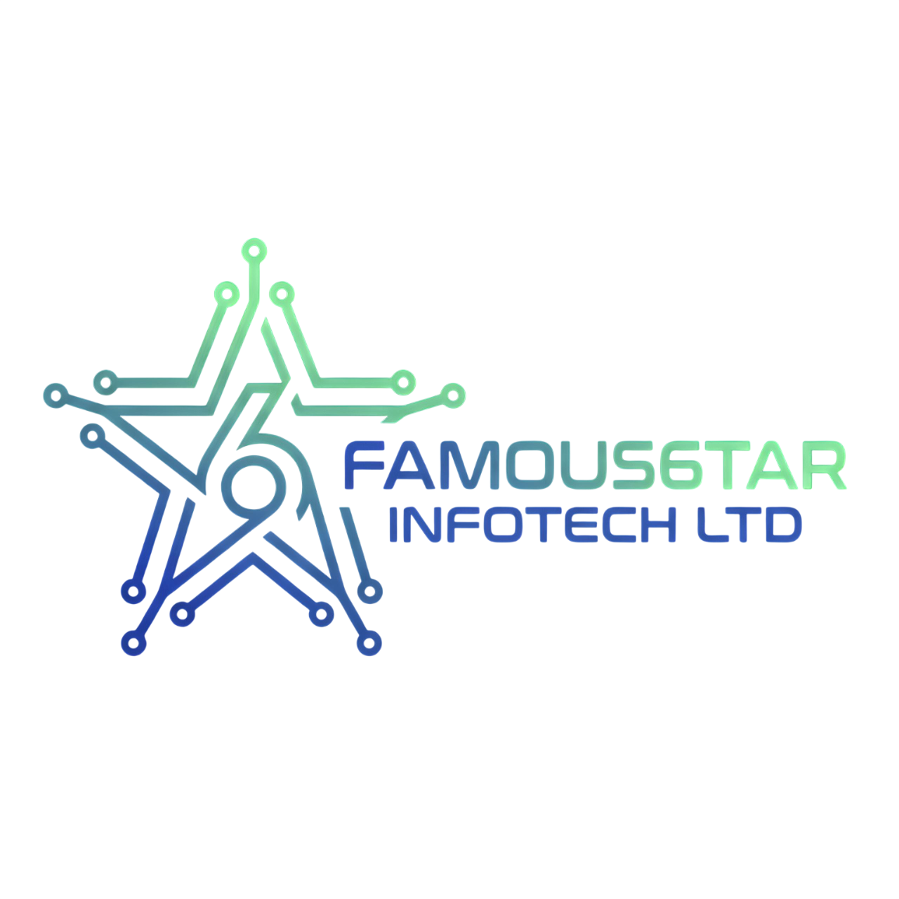 FAMOUS6TAR INFOTECH LTD
